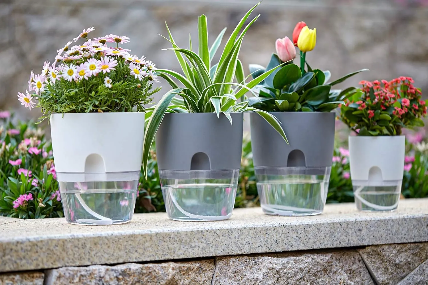 6/4.1/3.2 Inch Self Watering Planter Pots, 5 Pack African Violet Pots for Indoor Outdoor Windowsill Gardens, Self Aerating, High Drainage, Deep Reservoir(Gray)