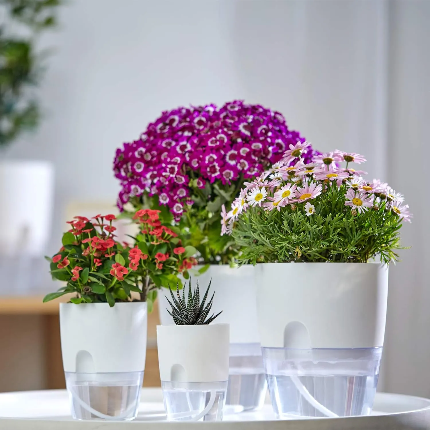 6/4.1/3.2 Inch Self Watering Planter Pots, 5 Pack African Violet Pots for Indoor Outdoor Windowsill Gardens, Self Aerating, High Drainage, Deep Reservoir(Gray)