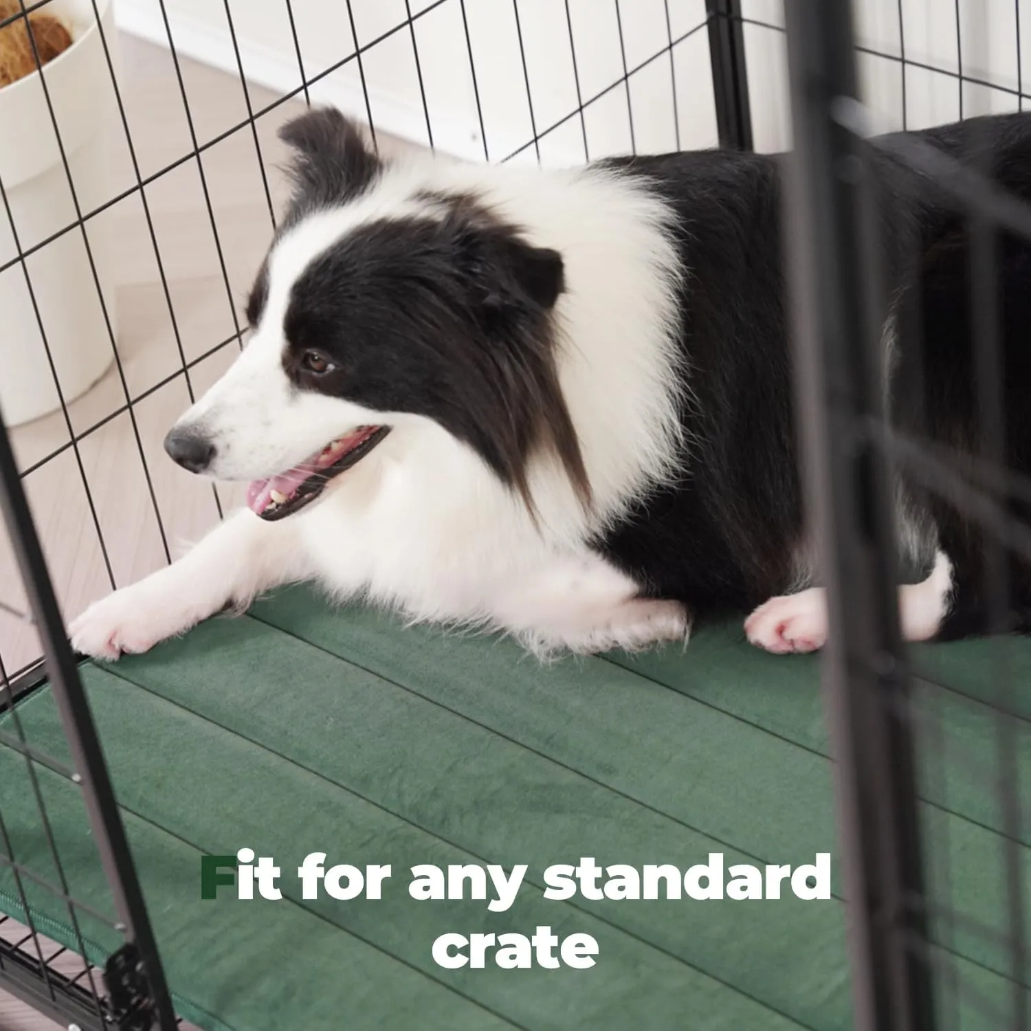 BALANCE Dog Crate Pad, Dog Foam Crate Mat Kennel Pad, Washable Water-Resistant Pet Bed Flat Dogs Cage Mat for Large Dogs