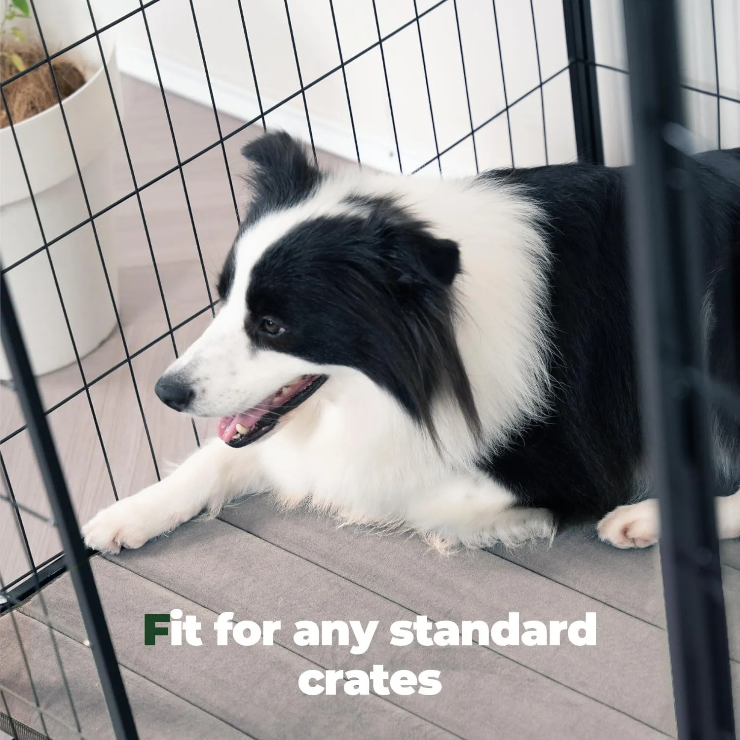 BALANCE Dog Crate Pad, Dog Foam Crate Mat Kennel Pad, Washable Water-Resistant Pet Bed Flat Dogs Cage Mat for Medium Dogs
