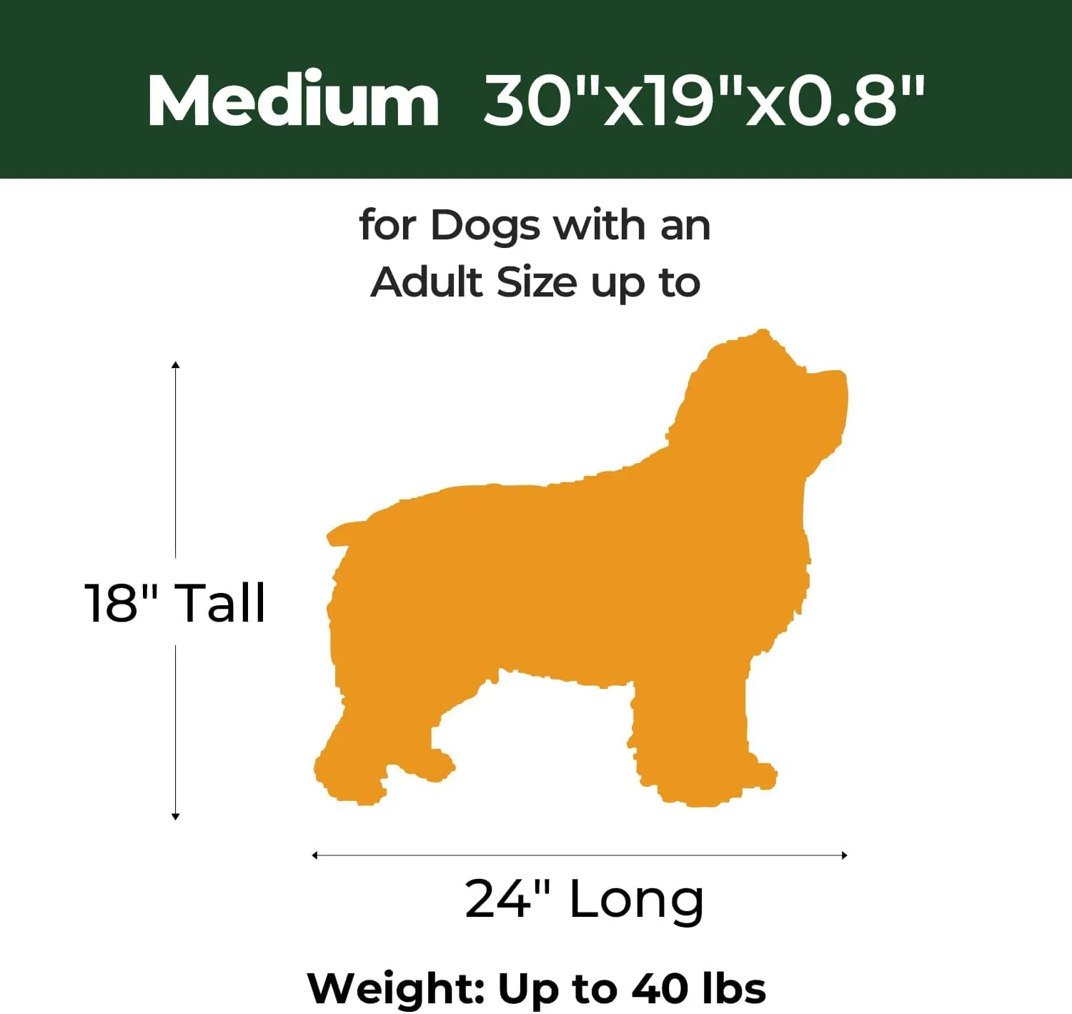 BALANCE Dog Crate Pad, Dog Foam Crate Mat Kennel Pad, Washable Water-Resistant Pet Bed Flat Dogs Cage Mat for Medium Dogs