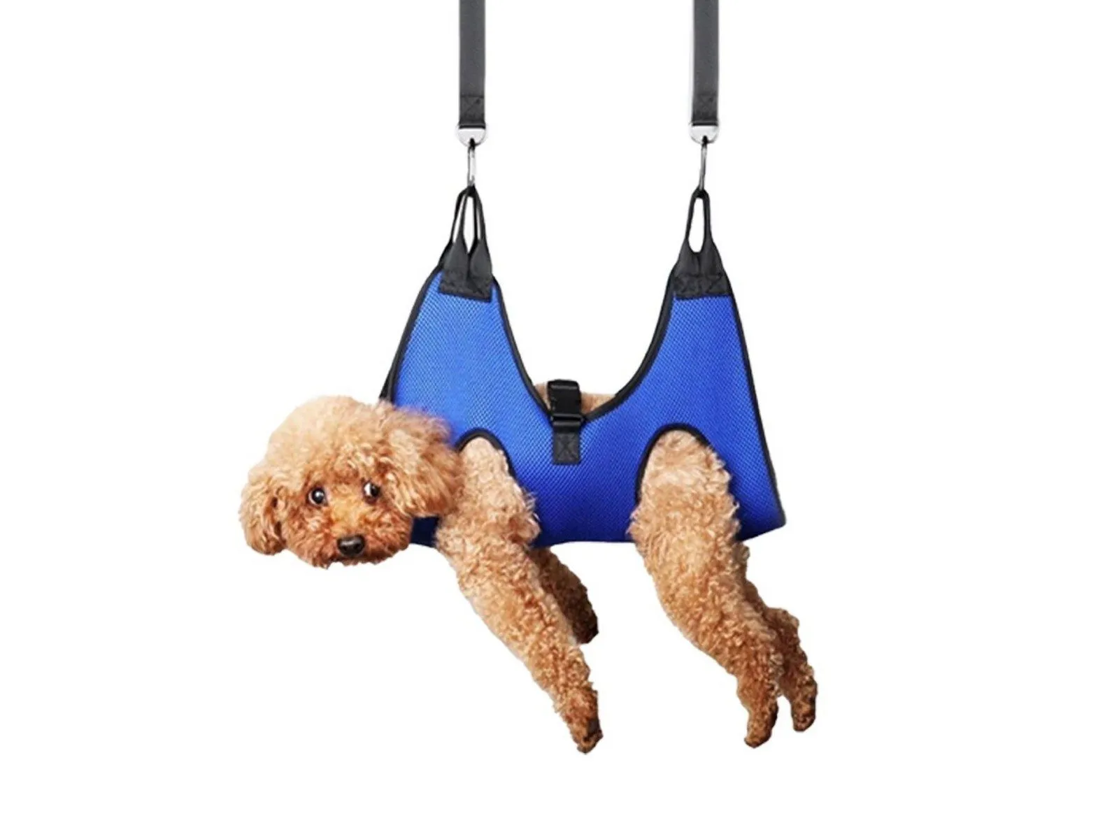 Blue Set Hammock Grooming for Pet Nail Trimming Pet Helper Long-term Harness Grooming Bulk discount S