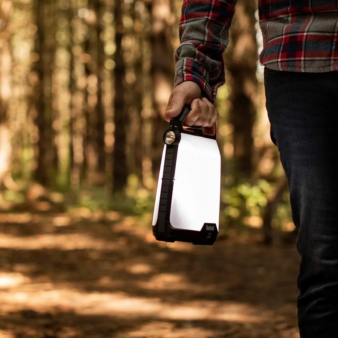 Bushnell Lanterns (1000L)
