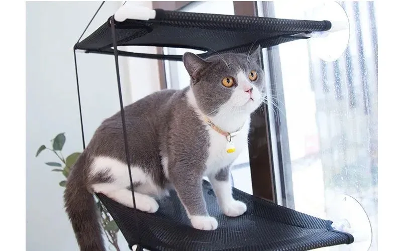 Cat Hammock Window Bed – A Cozy Throne for Your Feline!