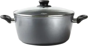 Cooking Pot With Glass Lid, 32 cm, Gray