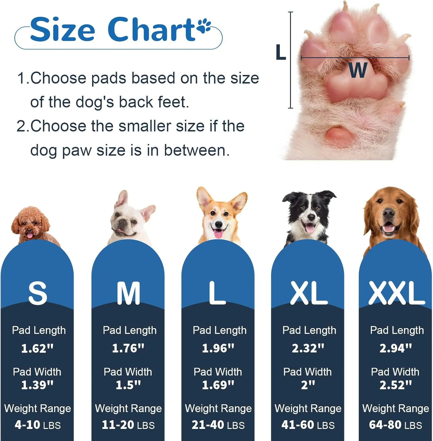 Dog Paw Protector Anti-Slip Pads, Toe Grips for Dogs from Slipping On Hardwood Floors, Stronger Self-Adhesive Paw Pad Provide Traction for Senior, Injured Dogs, (12 Sets - 48 Pads, XL)