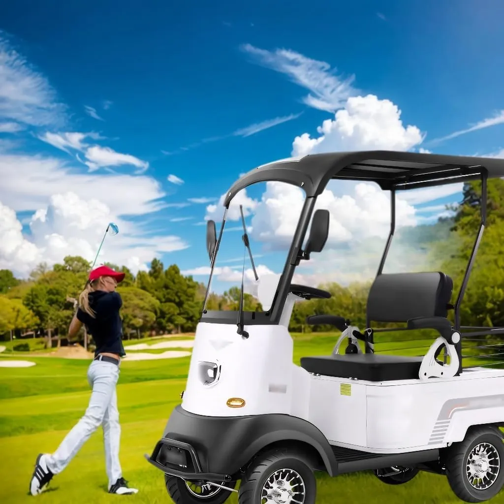 Electric Golf Carts, 4 Wheel Courtesy Car for Seniors with Storage Box, Farm Load Truck for Seniors and Adults Comes, Heavy Duty Golf Cart