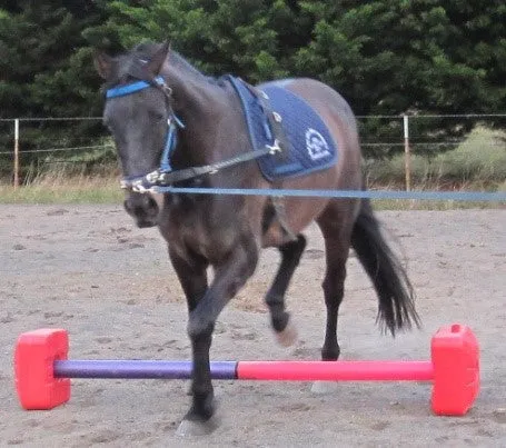 Ferrari Low Grid Cavaletti