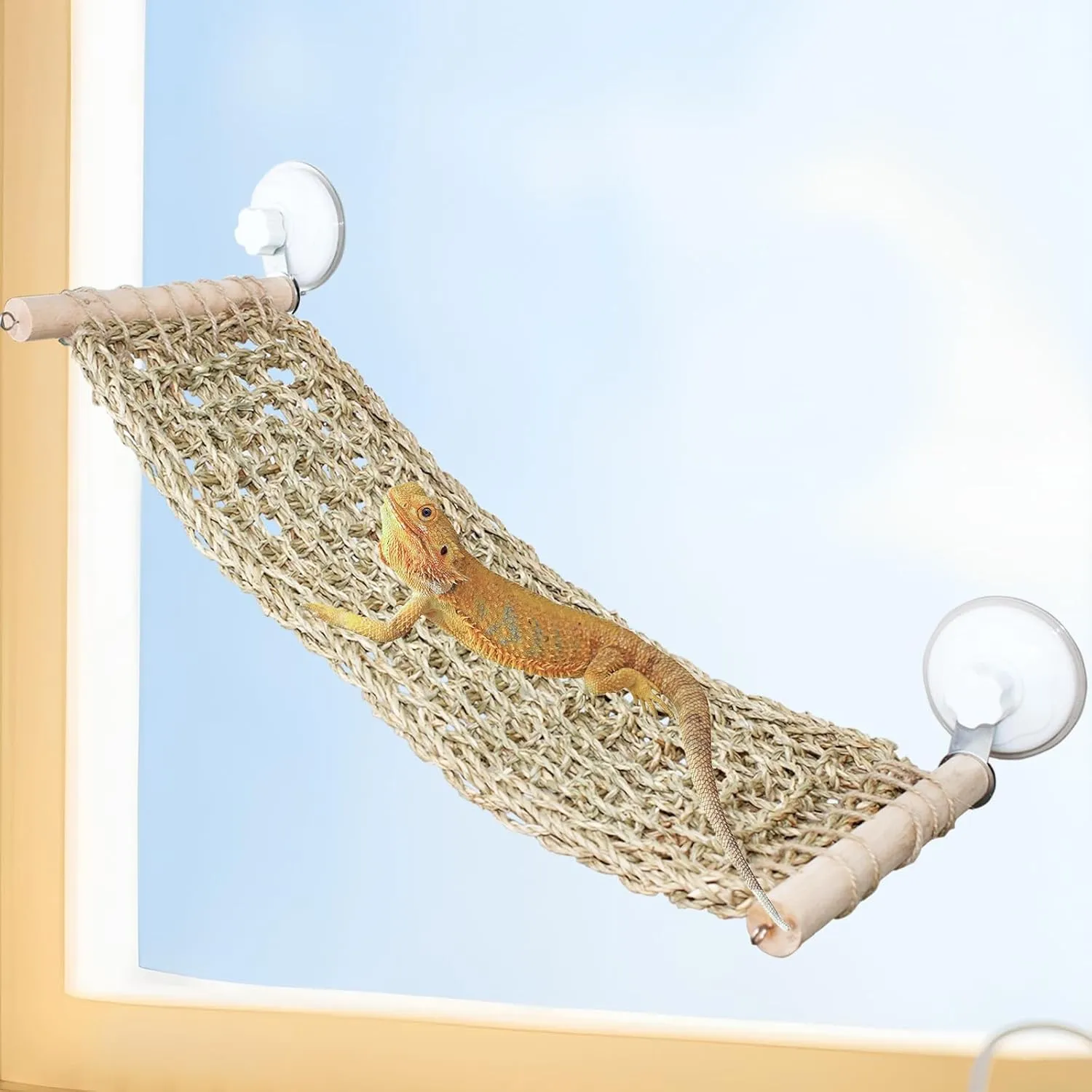 FlidRunest 21.6 x 7.8 in Seagrass Bearded Dragon Hammock for Window, Large Lizard Window Perch, Reptile Hammock Perch with Powerful Suction Cups for Lizard, Leopard Gecko, Chameleon