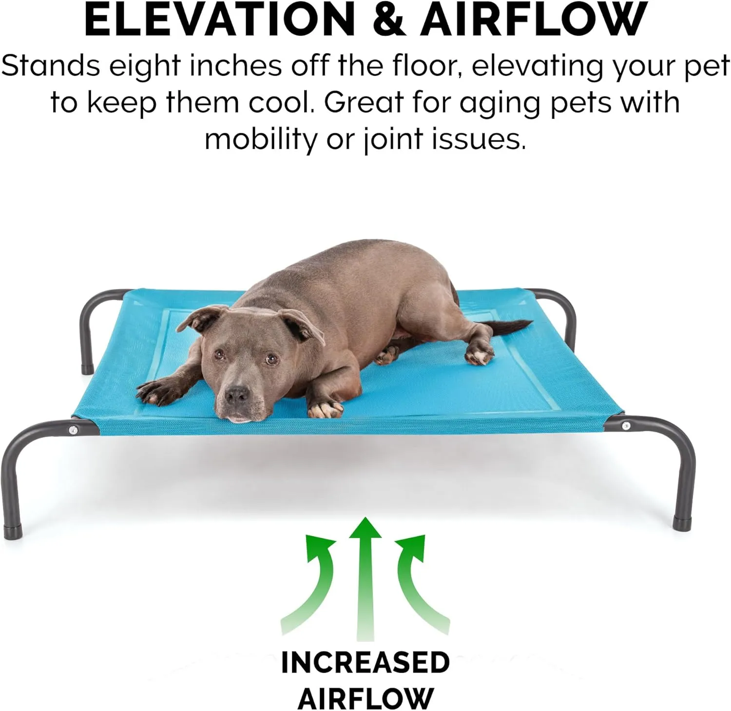 FurHaven Elevated Pet Cots - Cooling & Breathable Nylon Mesh Hammock for Dogs/Easy-to-Assemble / / Durable and Reinforced/Perfect for Rest & Relaxation Outdoors - Capri Blue, Medium