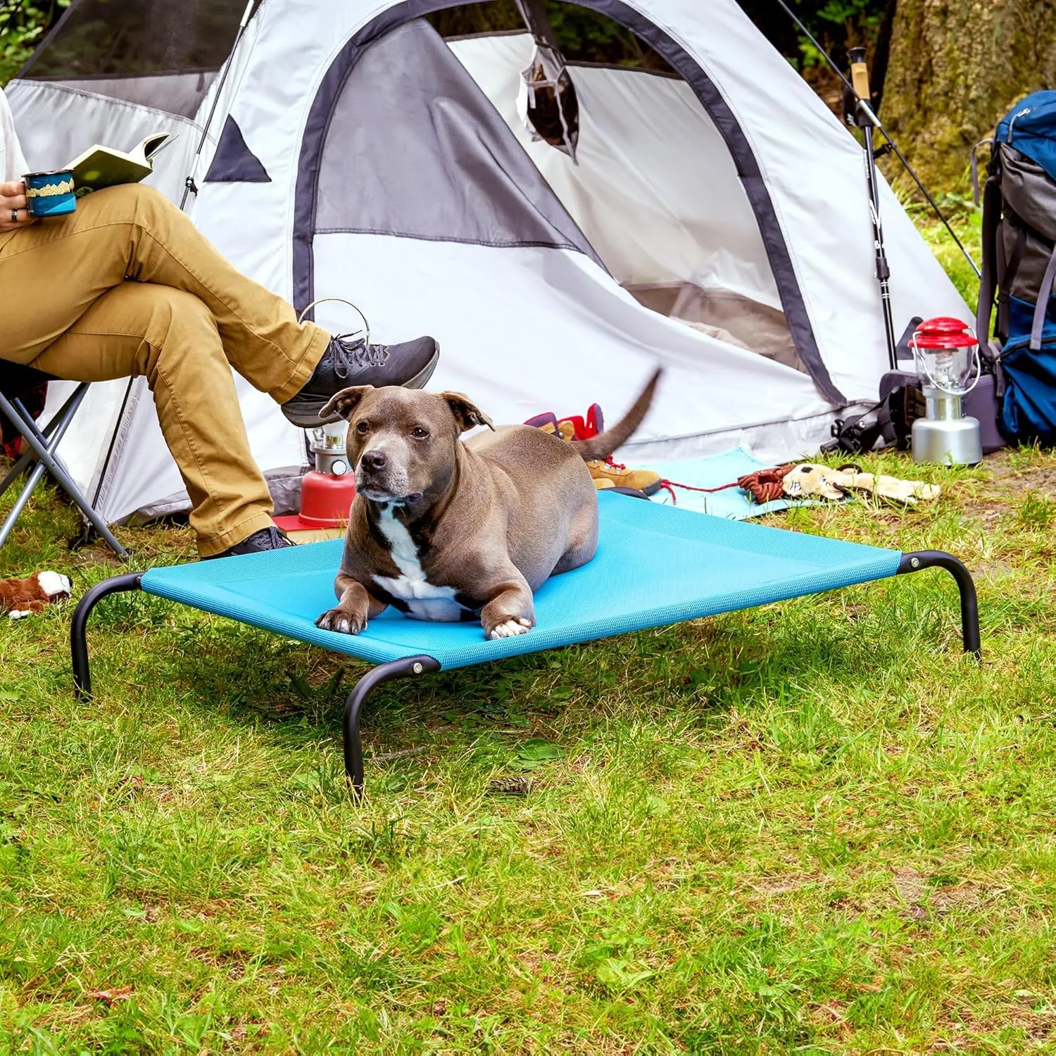 FurHaven Elevated Pet Cots - Cooling & Breathable Nylon Mesh Hammock for Dogs/Easy-to-Assemble / / Durable and Reinforced/Perfect for Rest & Relaxation Outdoors - Capri Blue, Medium