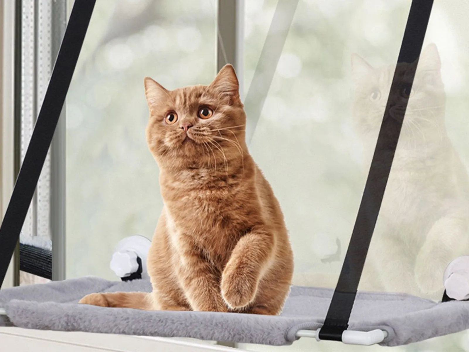Grey Reliable Efficient operation Nest for Layer Cat Hanging Single Cat Bed Hammock Warm Plush Window