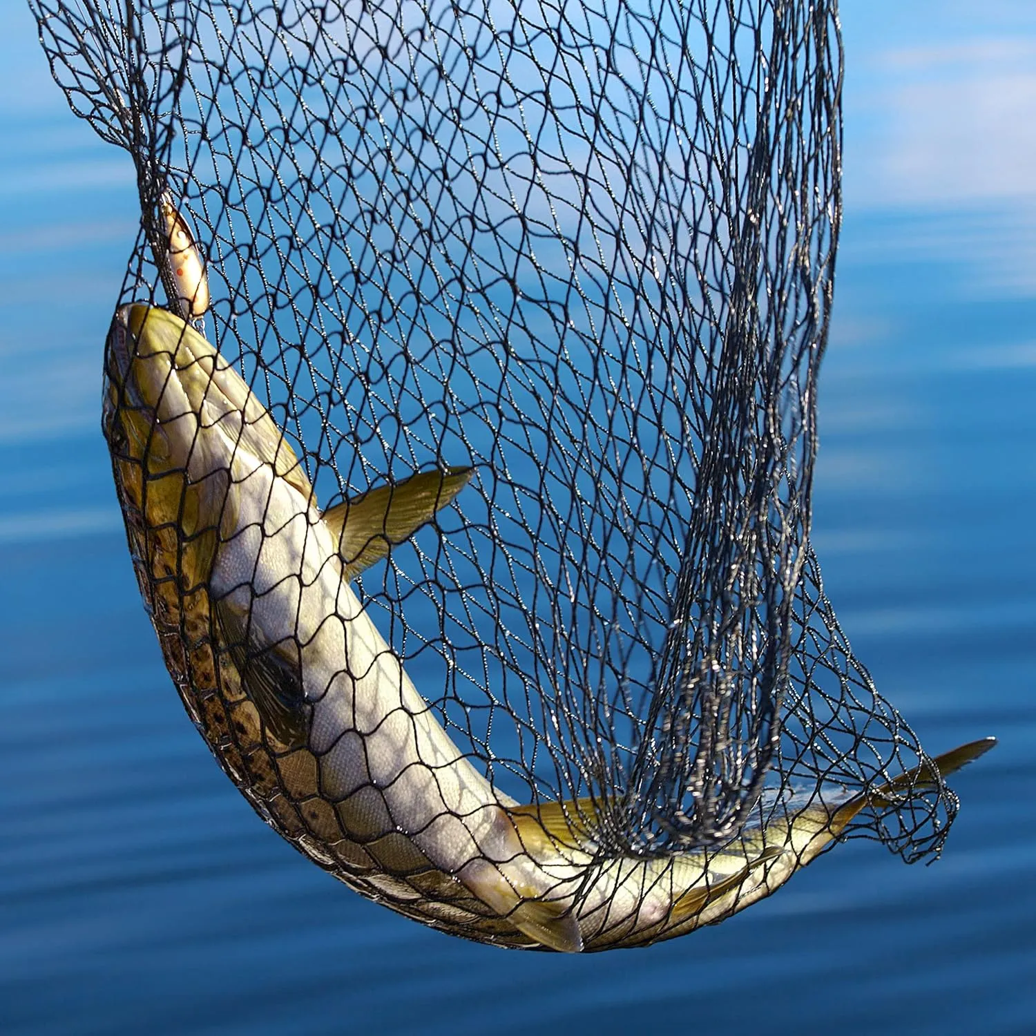 Landing Fish Net - Angler Tool with Clear Rubber Mesh Netting and Wooden Handle - Fly Fishing Equipment for Catch and Release by Wakeman