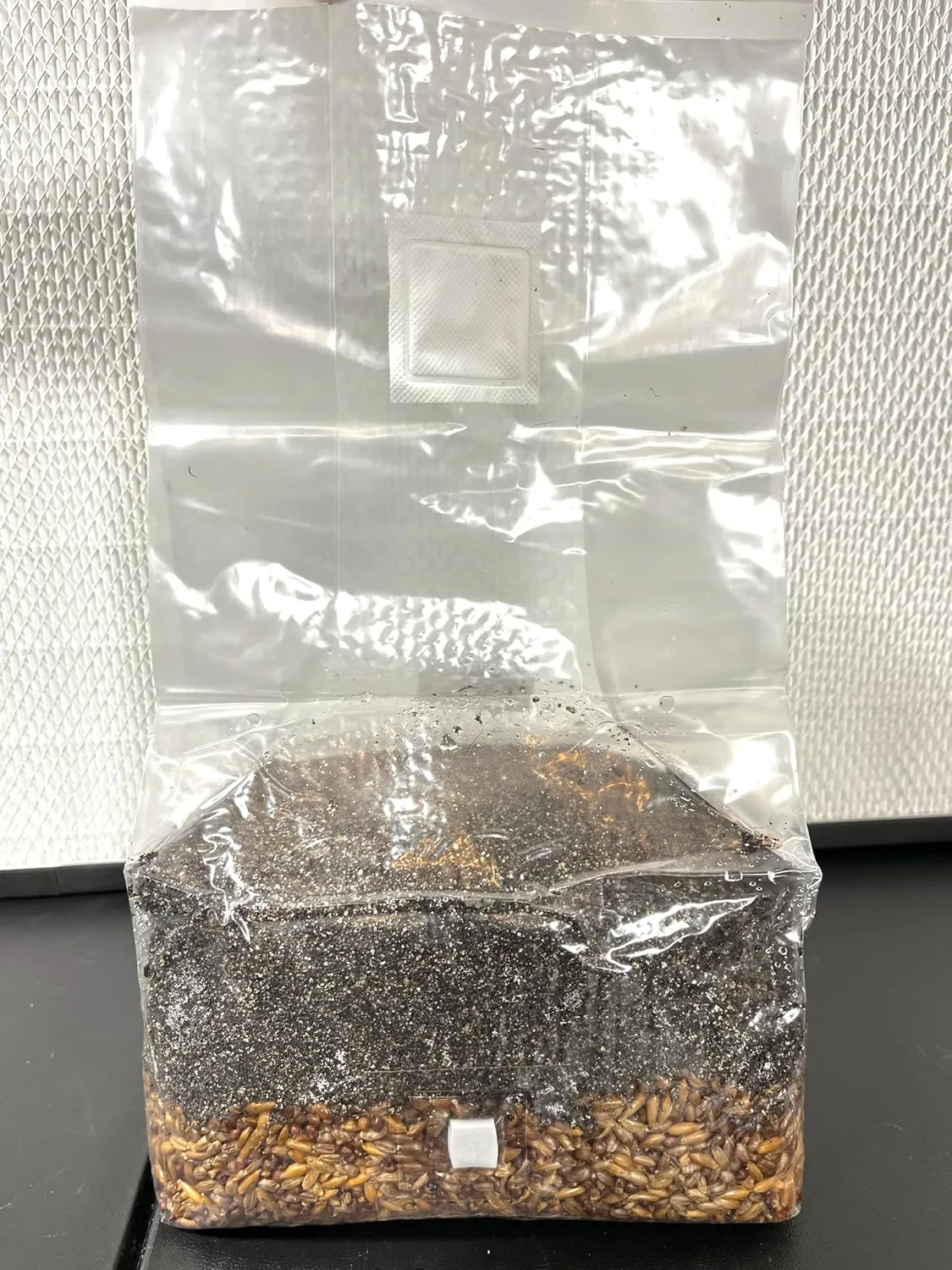 Magical 5 lb Mushroom All in One Grow Bag for Manure Loving Mushrooms with Injection Port and 0.2 Micron Breathable Filter
