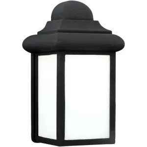 Mullberry Hill Black LED Outdoor Wall Lantern