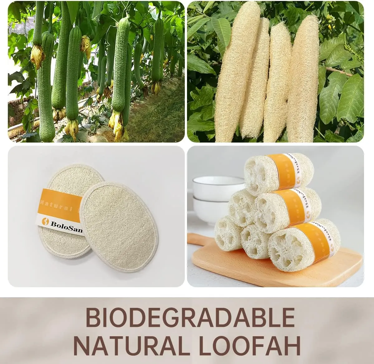 Natural Loofah Sponge, Organic Loofah, Exfoliating Loofah Pad, Natural Body Scrubber, for Shower, Bath, Dead Skin Removal (6 Pack)