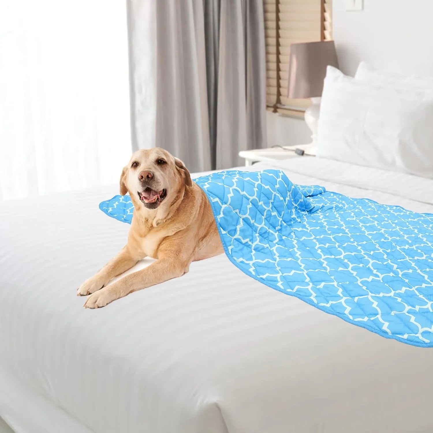 PUPTECK Dog Cooling Mat for Medium Large Dogs, Blanket for Kennels Crate Floor, Pets Cooling Pad, Dog Cat Summer Sleeping Outside, Sky Blue X-Large 40"x60"