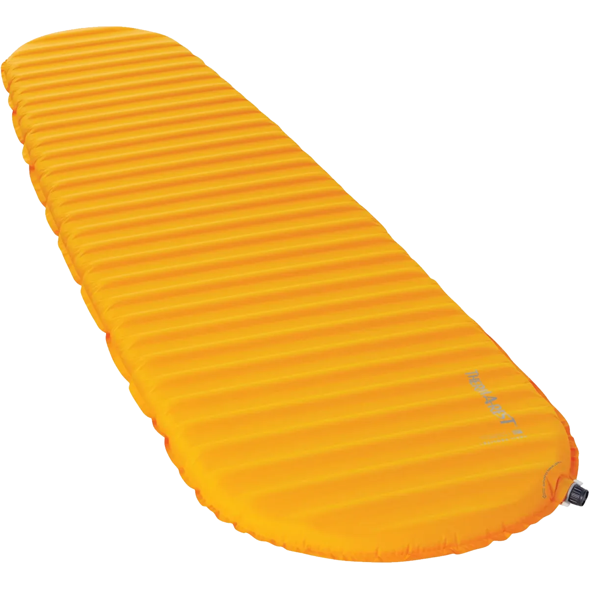 Trail ProLite Large